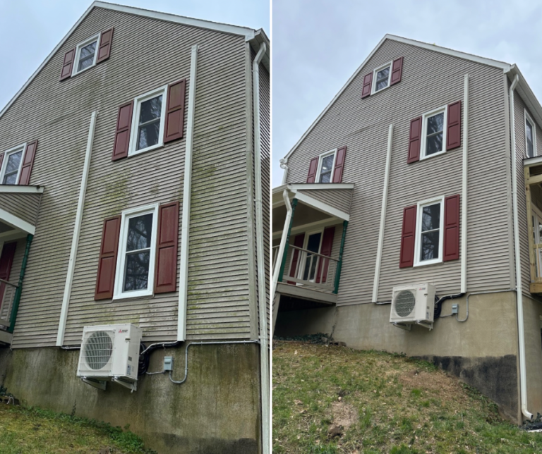 Photo Feb 26 2026, 10 57 27 PM (3)