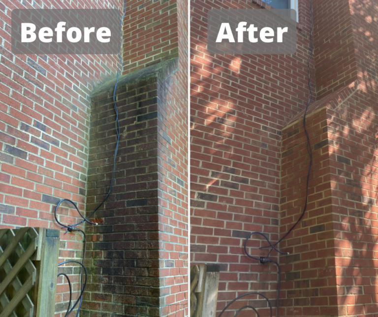 Photo Feb 26 2026, 8 30 16 PM (8)