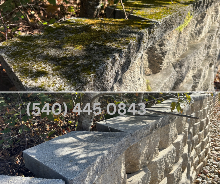 Photo Feb 26 2026, 8 38 31 PM (4)