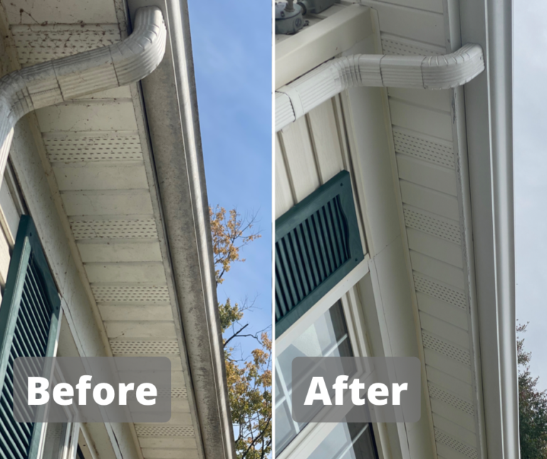 Photo Mar 18 2025, 9 15 25 AM