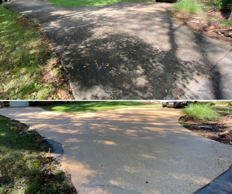 Photo Mar 05 2026, 11 28 48 AM (1)